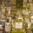 Thymes